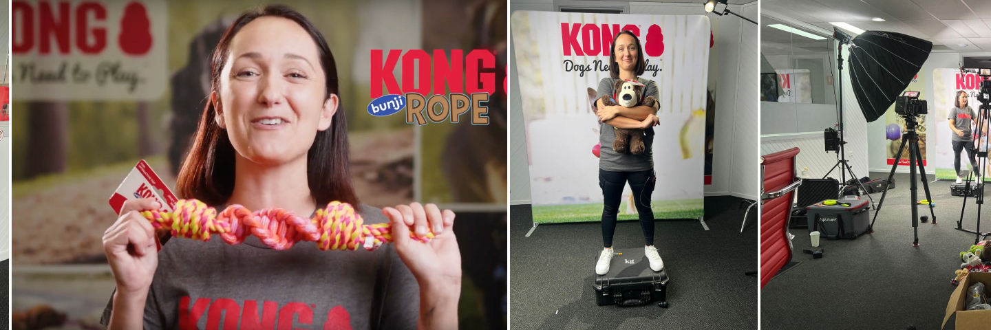 Kong slide 3